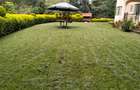 3 Bed Townhouse with En Suite in Spring Valley - 5