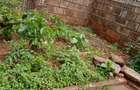 4 Bed House with En Suite in Langata - 5