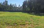 Land in Karen - 1