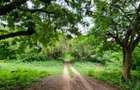 Land at Vipingo Kuruwitu Beach - 4