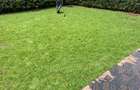 4 Bed House with En Suite in Kiambu Road - 2