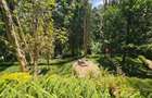5 Bed Townhouse with En Suite in Kitisuru - 4