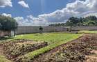 0.5 ac Land in Karen - 5