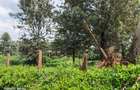 0.5 ac Land at Ridgeways Lane - 1