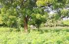 Land at Diani Beach Road - 13