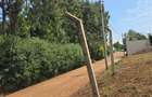 0.28 ac Residential Land at Paradise Lost Road - 5