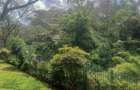 3 Bed Apartment with En Suite in Parklands - 9