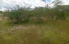 0.125 ac Land at Kyumvi Junction - 7