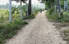 15 ac Land at Bomani - 10