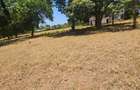 5 ac Land at Utange - 12
