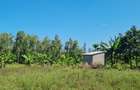 5 ac Land at Mtepeni - 1