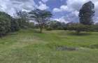 4 Bed House at Karen - 13