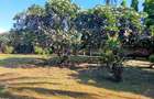 Land in Nyali Area - 15