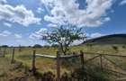 Land in Nanyuki - 7
