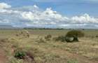 Land in Mombasa Road - 17