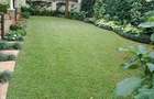 5 Bed Townhouse with En Suite in Lavington - 5