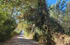 506 m² Land at Kibiko Centre Near Tarmac - 4