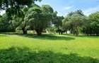 2 ac Land at Mtwapa Creekside - 7