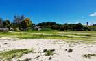 Land at Vipingo Kuruwitu - 4