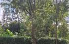 Land at Dagoretti Road - 8