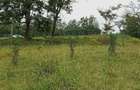 0.25 ac Land at Kibiko - 3