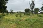 3.8 ac Land in Vipingo - 9