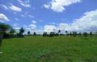 0.5 ac Land in Nanyuki - 1