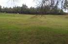 0.25 ac Land in Ngong - 1