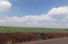 5 ac Land at Near Tatu City - 9