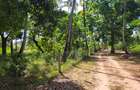 Land in Kilifi County - 5