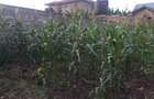 0.0123 ac Land in Ongata Rongai - 6