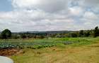 Residential Land in Tigoni - 10