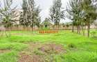 0.05 ha Commercial Land in Kikuyu Town - 10