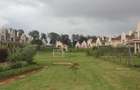 4 Bed House with En Suite in Kiambu Road - 8