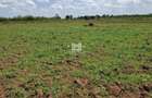 5 ac Land in Nanyuki - 2
