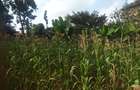 0.113 ac Commercial Land in Ongata Rongai - 12