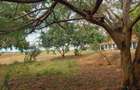 1 ac Land in Mtwapa - 8