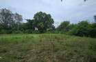 2 ac Land at Animo - 4