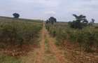 Land in Thika Road - 14