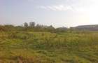 5 ac Land in Thika - 15