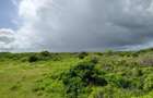 12 ac Land in Watamu - 9