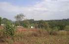 Land in Tigoni - 3
