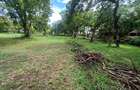 2.5 ac Land at Pangoni - 8