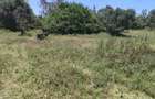 1 ac Land at Ndovu Road - 5