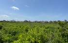 Land in Watamu - 13