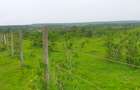 Land in Kilifi County - 20