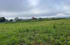 3.7 ac Land at Kiambu - 3