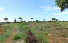 10,000 ft² Land at Vipingo - 8