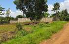 0.5 ac Land in Thome - 1