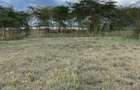 139 ac Land in Naivasha - 3